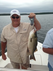 Truman Lake Fishing 2016