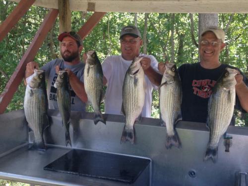Truman Lake Fishing 2017 (13)