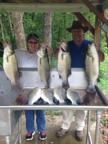 Truman Lake Fishing 2017 (24)